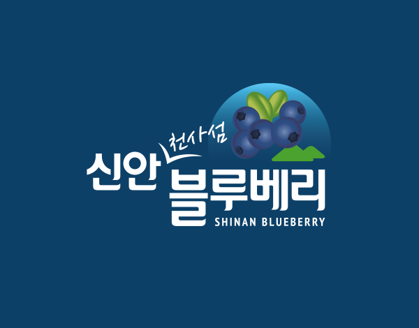 신안 천사섬 블루베리