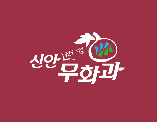신안 천사섬 무화과